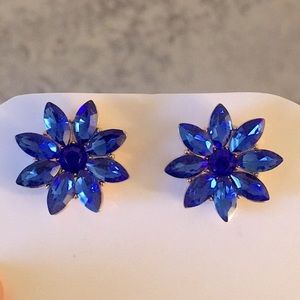 Sapphire Blue Floral Crystal Earrings